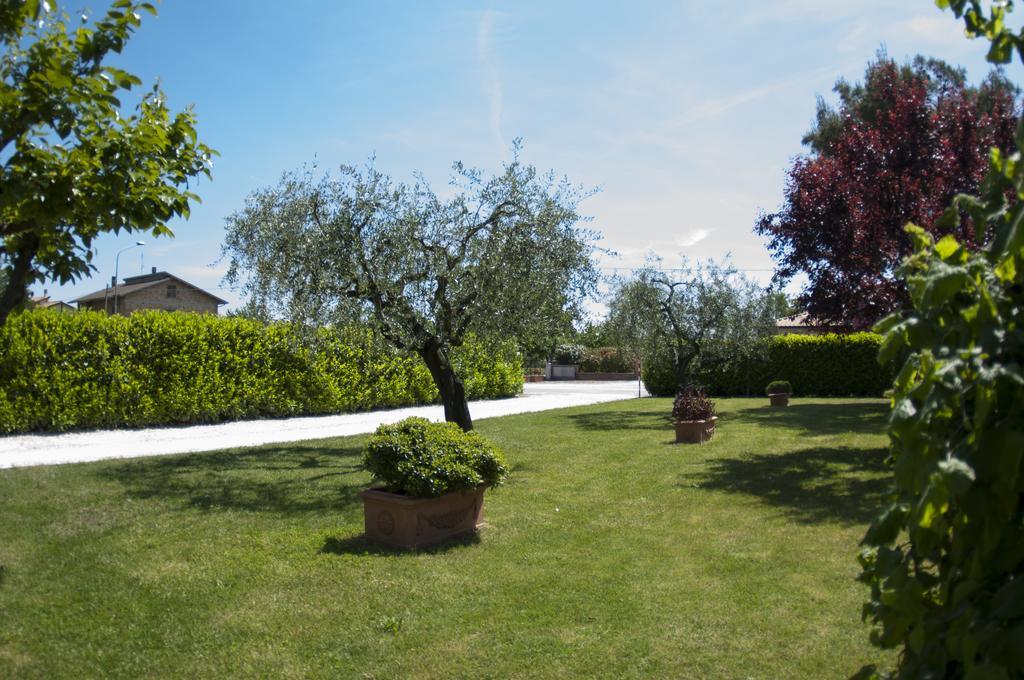 Rosa Di Assisi Bed & Breakfast Bastia Umbra Bagian luar foto